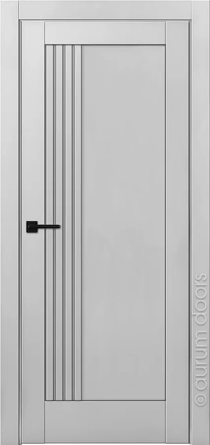 Дверь Aurum Doors Никель Ni 10