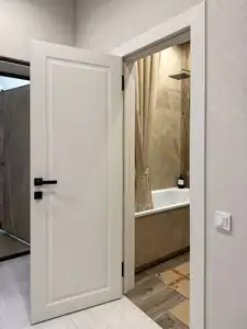 Дверь OSTIUM «Trend», Trend 1 — живое фото модели; салон BAKUN DOORS, Новосибирск