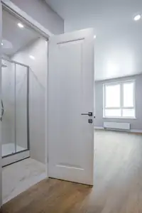 Дверь ZADOOR «Артклассик», ART Classic (эмаль) — живое фото модели; салон BAKUN DOORS, Новосибирск