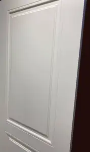 Дверь ZADOOR «SK Эмаль», SK (скиновая эмаль) — живое фото модели; салон BAKUN DOORS, Новосибирск