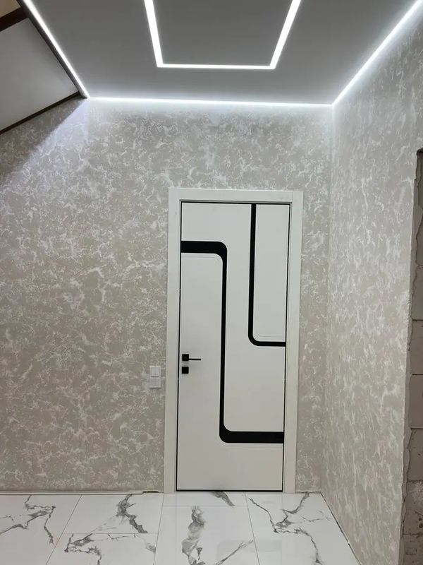Дверь OSTIUM Aluminium A19 с чёрной вставкой — живое фото